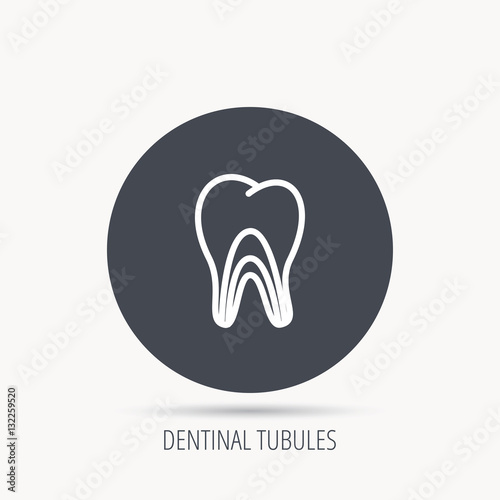 Dentinal tubules icon. Tooth medicine sign. Round web button with flat icon. Vector