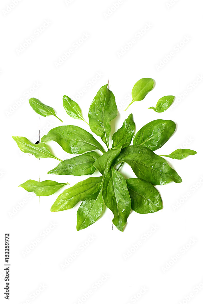spinach leaves on a white wooden background view from above spinach leaves on a white wooden background view from above