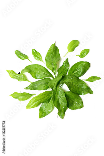 spinach leaves on a white wooden background view from above