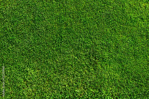 Green football field grass