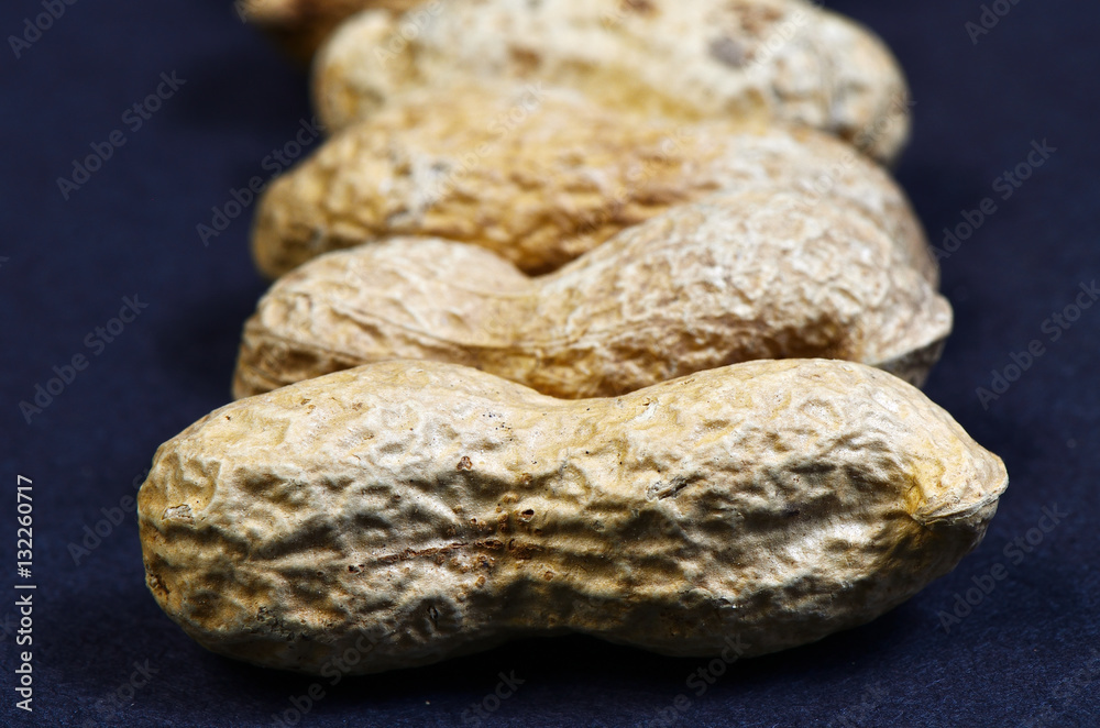 Paddy peanuts / Paddy peanuts in the row. Focus is on the first one. Paddy peanuts / Paddy peanuts in the row. Focus is on the first one.
