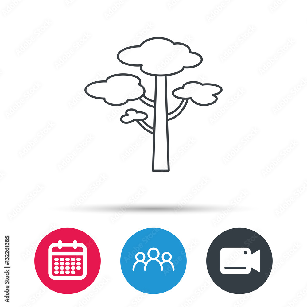 Pine tree icon. Forest wood sign. Nature environment symbol. Group of people, video cam and calendar icons. Vector Pine tree icon. Forest wood sign. Nature environment symbol. Group of people, video cam and calendar icons. Vector