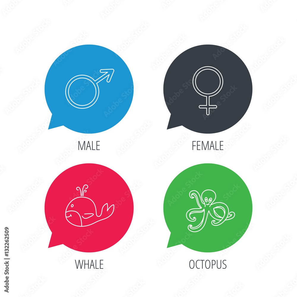 Colored speech bubbles. Male, female and octopus icons. Whale linear sign. Flat web buttons with linear icons. Vector