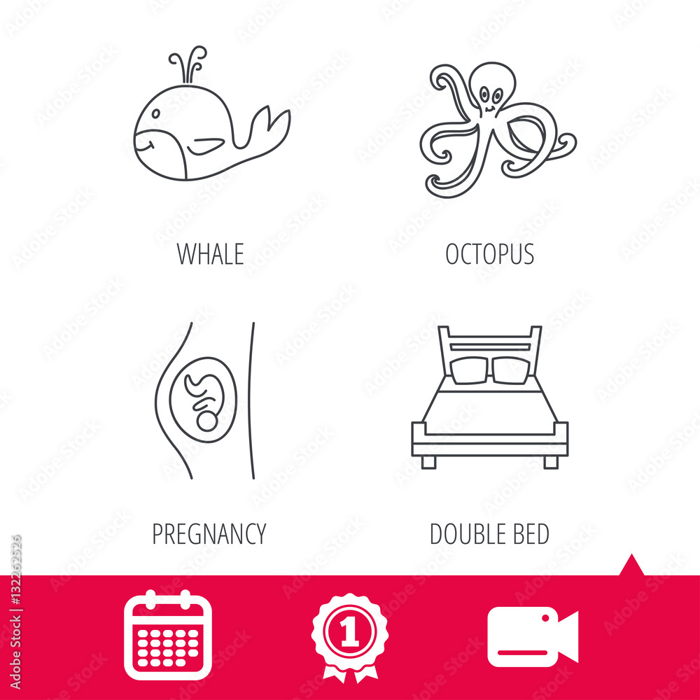 Achievement and video cam signs. Whale, octopus and double bed  icons. Pregnancy linear sign. Calendar icon. Vector