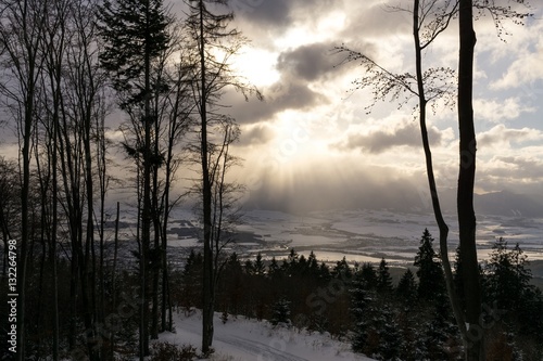 Misty woods with sun rays light during winter. Slovakia