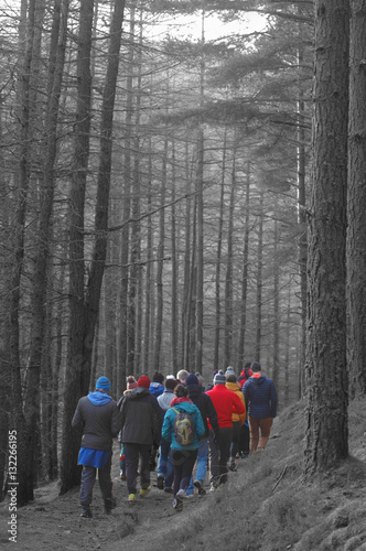 Colourful party walking in black and white woodland. © sbuwert