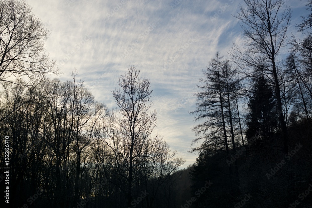 Trees and clouds. Slovakia Trees and clouds. Slovakia
