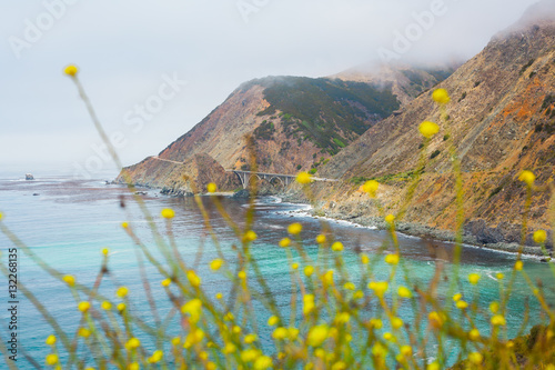 Highway One with out of focus flowers in the foreground - Stock