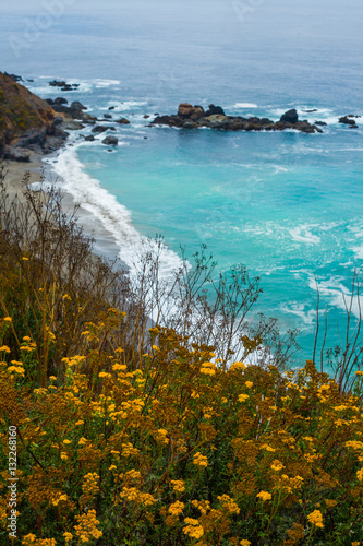 Flowers and the pacific ocean coastline - Stock Image
