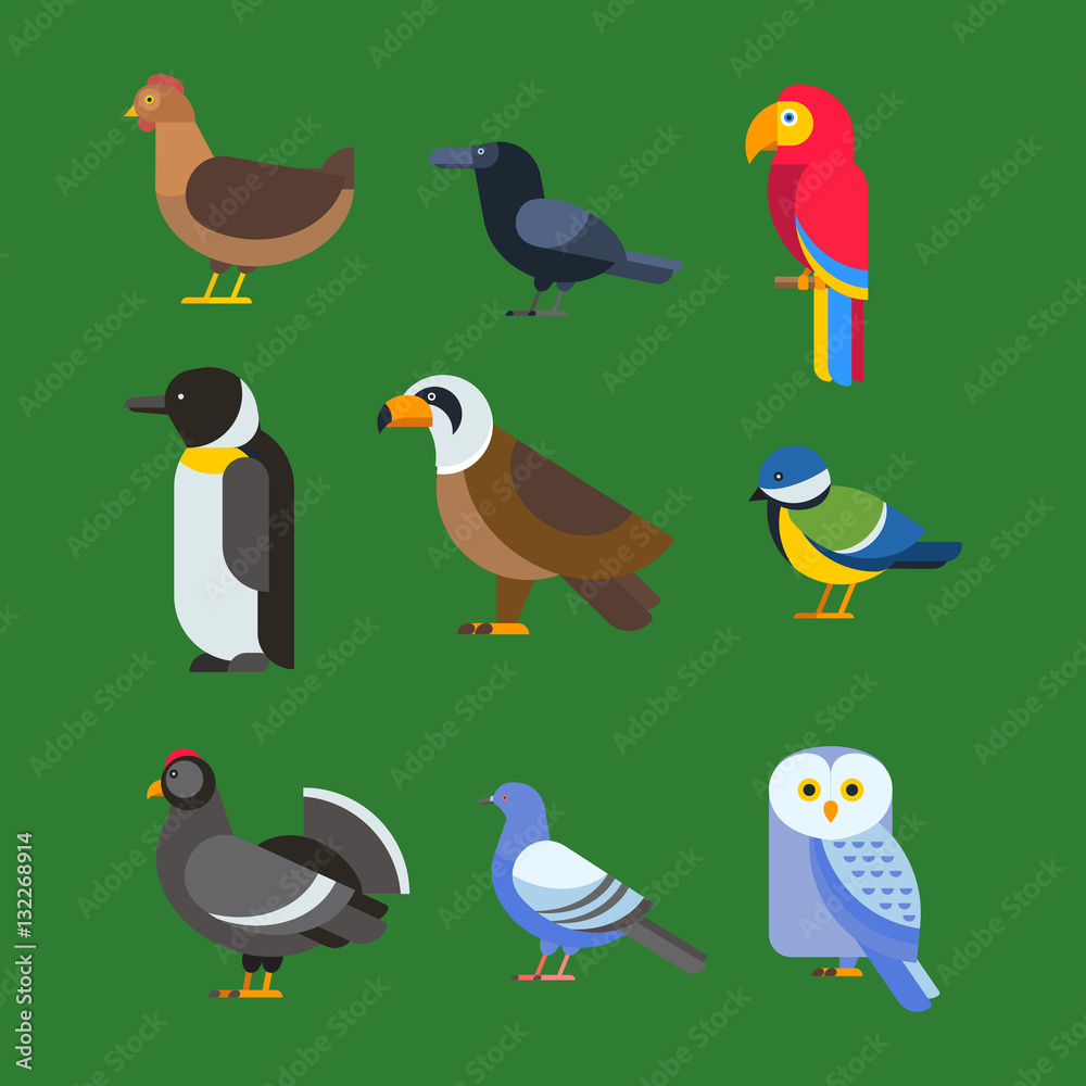 Birds vector set illustration isolated Birds vector set illustration isolated