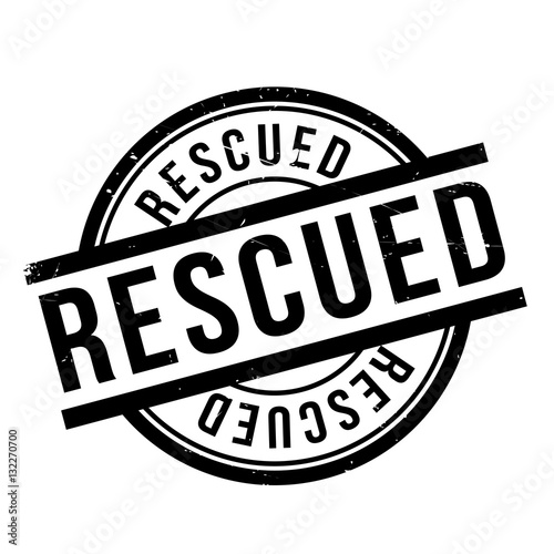 Rescued rubber stamp