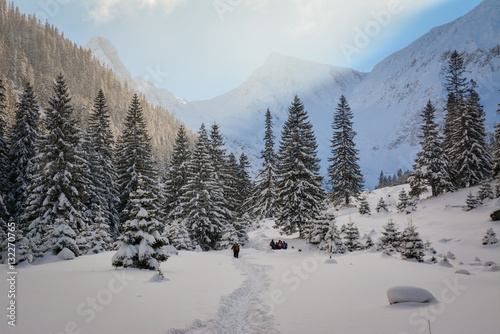 Beautiful winter landscape in the mountains © icephotography