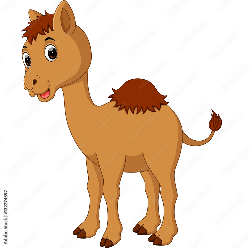 Camel cartoon Camel cartoon