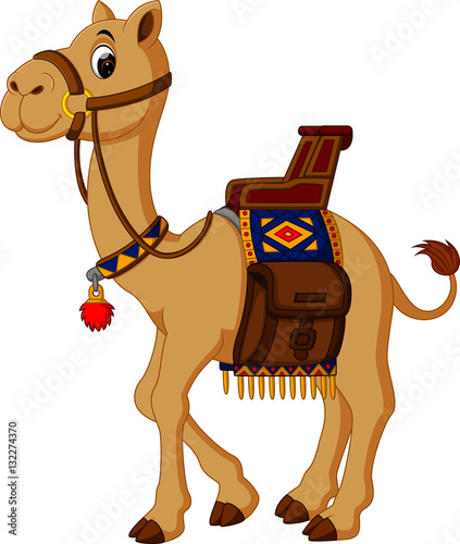 Camel cartoon