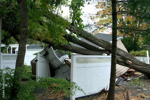 Garage crushed by trees after Hurricaine Super Storm Sandy photo