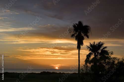 Palm Sunset © Maurice