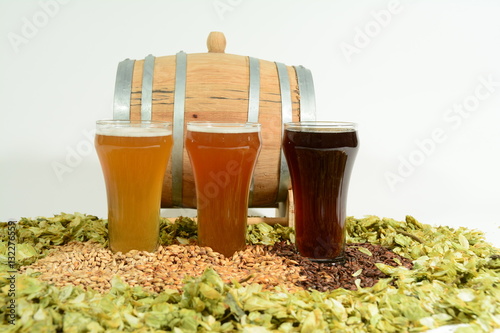 Various beer styles from lager, amber ale and stout in front of miniature beer barrel surrounded by beer ingredients of malted barley grain and hops