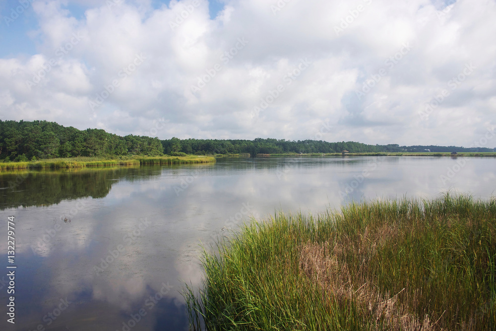 Huntington Beach State Park. A salt water marsh in South Carolina with cloudy blue sky reflections in the water. 