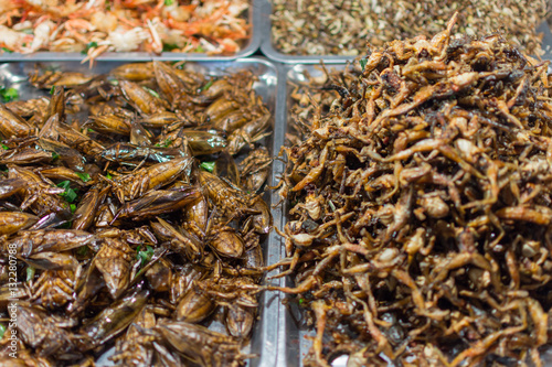 Fried insects various types