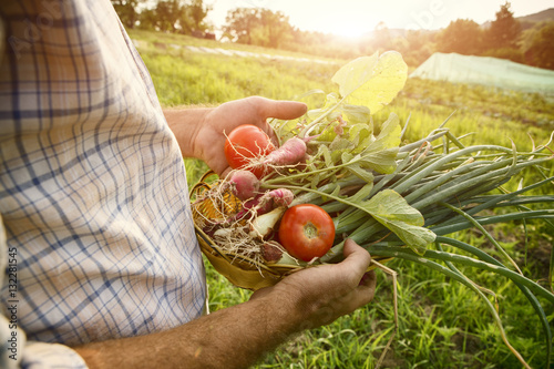 Farmer holding fresh picked vegetables