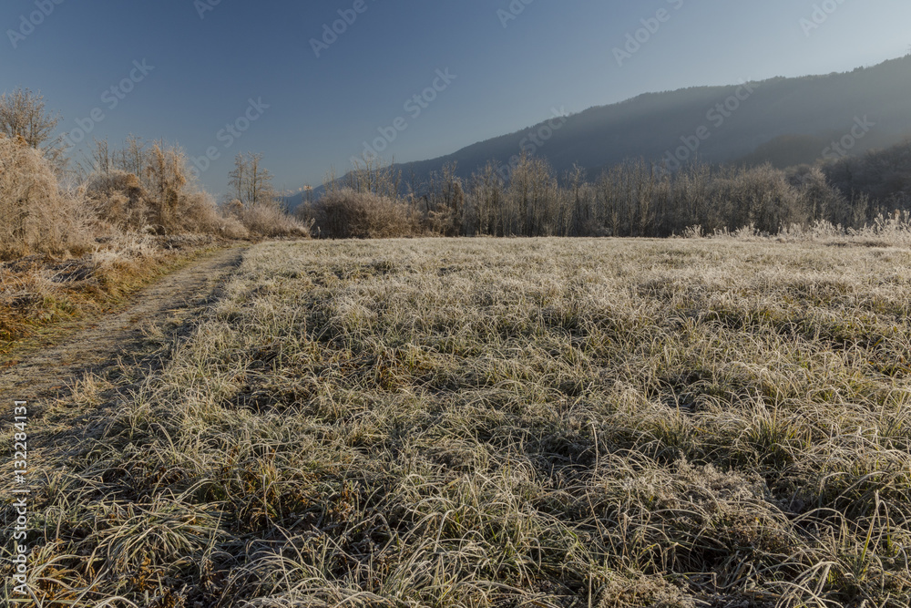 Fototapeta premium Lac de Sainte Hélène - Savoie.