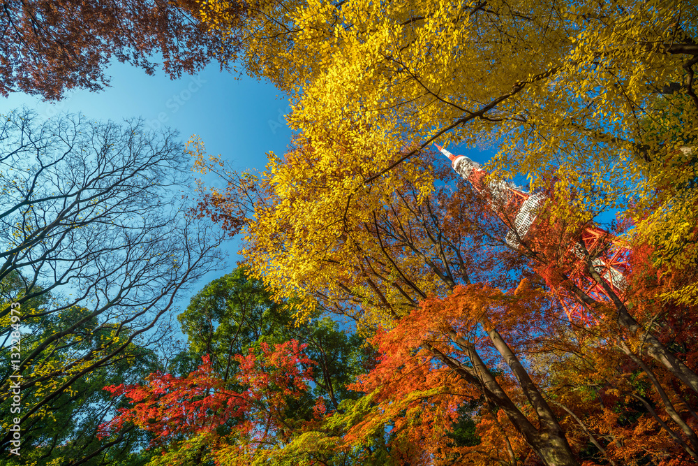 Tokyo Tower with blue sky in Japan Tokyo Tower with blue sky in Japan