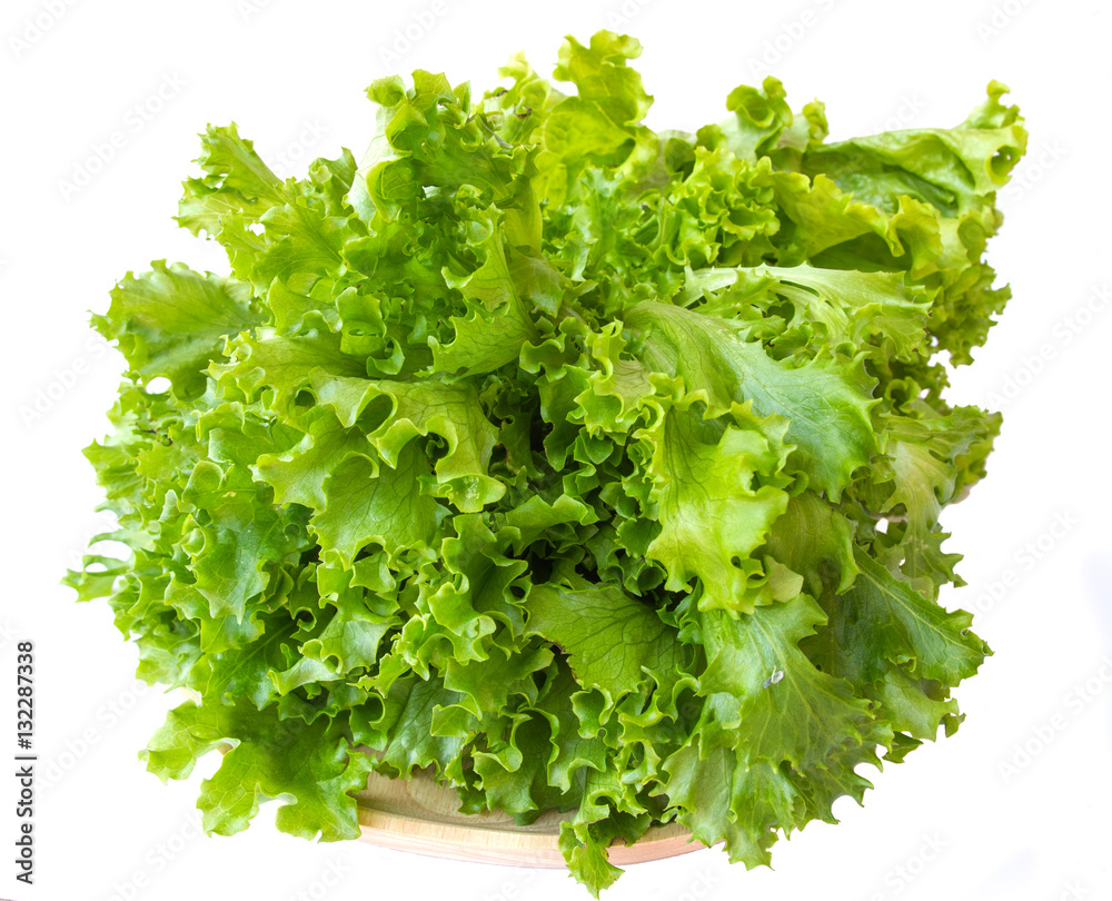 Obraz premium Fresh organic lettuce, closeup shot on white isolated.