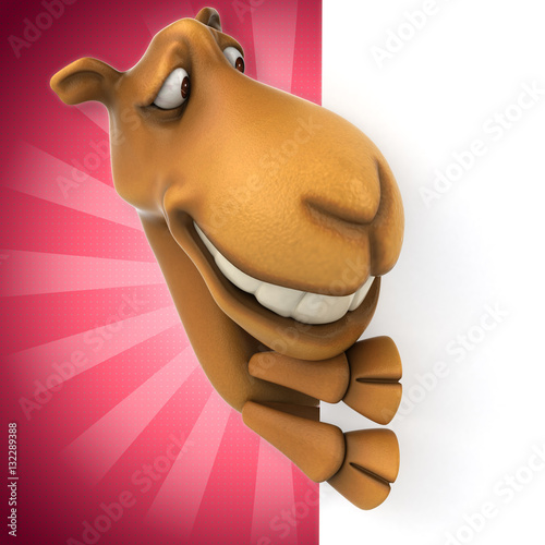 Fun camel