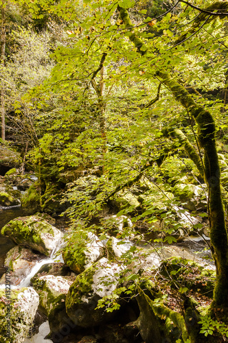 Noiraigue, Val de Travers, Jura, Areuse, Fluss, Areuseschlucht, Schlucht, Wald, Wanderweg, Waldweg, Herbstlaub, Herbst, Schweiz photo