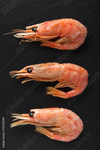 fresh seafood shrimps close-up