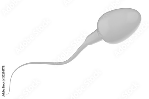 white sperm isolated on white