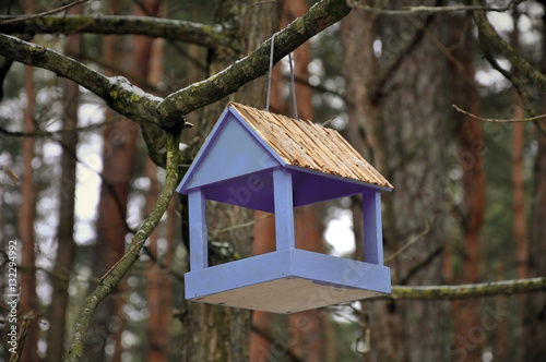 Lilac wooden birdhouse on a branch in the autumn forest close up. Blurred background.