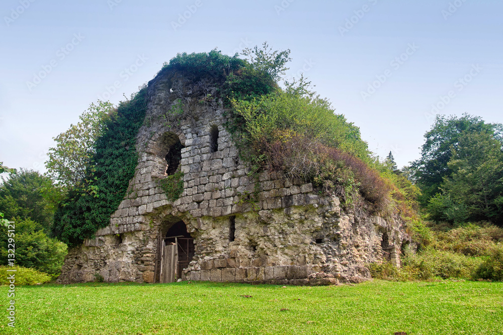 Overgrown ruins of ancient church VI-VII century, Abkhazia
