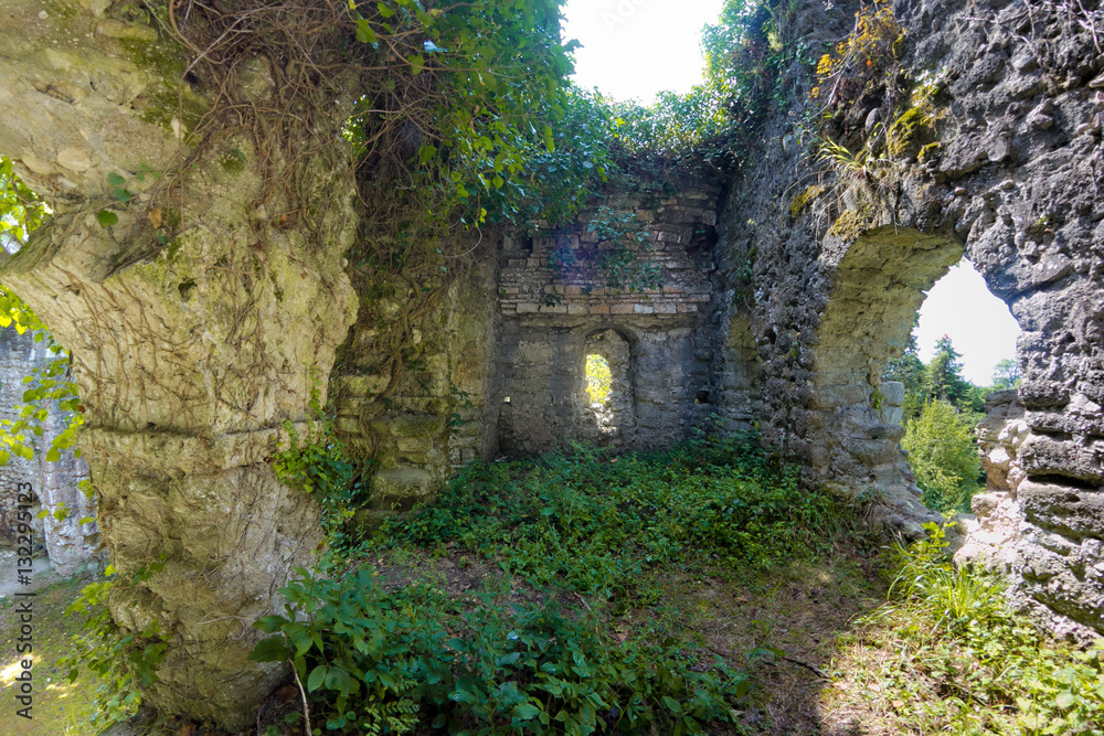 Overgrown ruins of ancient church VI-VII century, Abkhazia