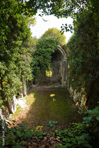 Overgrown ruins of ancient church VI-VII century  Abkhazia