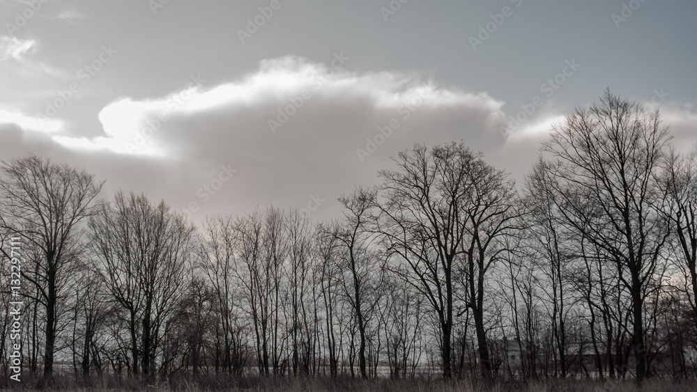 blue sky blue sky