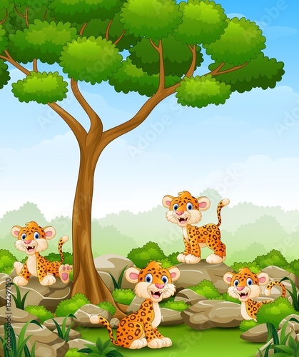 Cartoon leopard group in the jungle