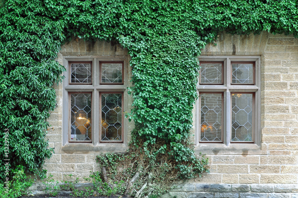 The front facade of the old historical building of stone blocks with curly green ivy.