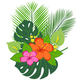 Tropical plants and flowers. Vector illustration