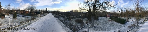 Allotments in snowy winter