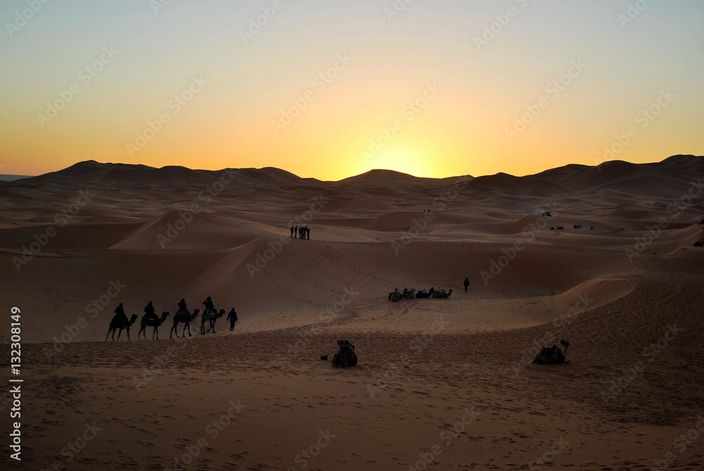 Alba con i dromedari nel deserto del Marocco Alba con i dromedari nel deserto del Marocco