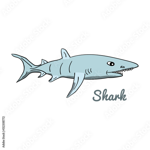 Cute cartoon shark