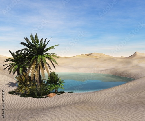 Oasis in the desert. Palm trees and a lake. 