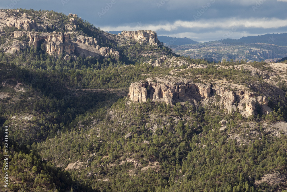 Volcanic plateau of Sierra Tarahumara, above Copper Canyon, Chihuahua, Mexico Volcanic plateau of Sierra Tarahumara, above Copper Canyon, Chihuahua, Mexico