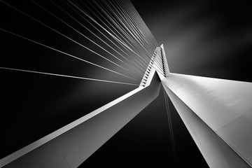 Fototapete Erasmusbrücke Erasmusbrücke Rotterdam Tageslicht Panorama  © JesusmGarcia