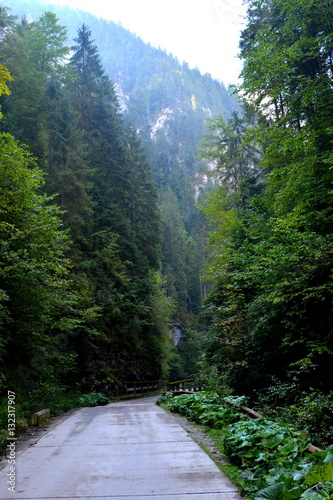 Odancusii Pass. Landscape in Apuseni Mountains, Transylvania, Romania. photo