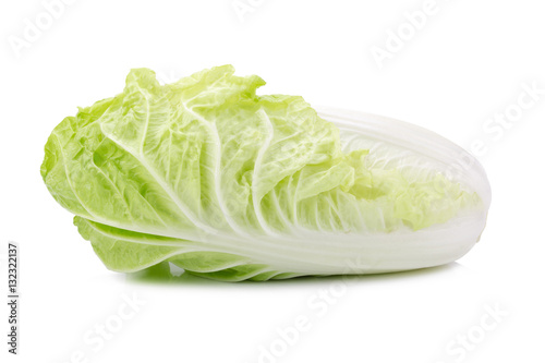 fresh napa cabbage on white background.