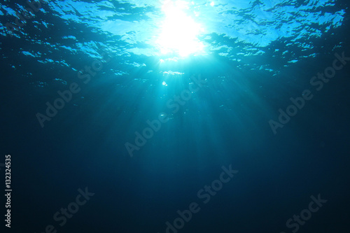 Fototapeta Naklejka Na Ścianę i Meble -  Underwater background