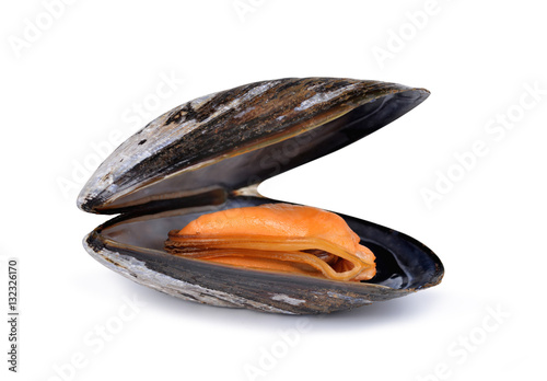 Boiled mussel isolated on a white background.