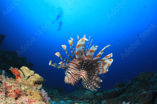 Scuba divers and lionfish fish underwater